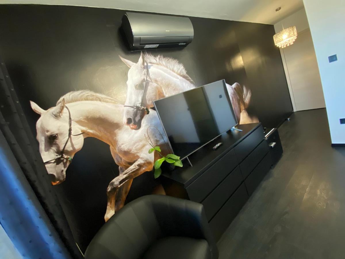 Gasthof Gold Horse Vendeghaz *