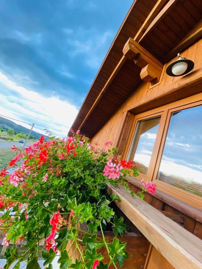 Gold Horse Vendeghaz Gasthof