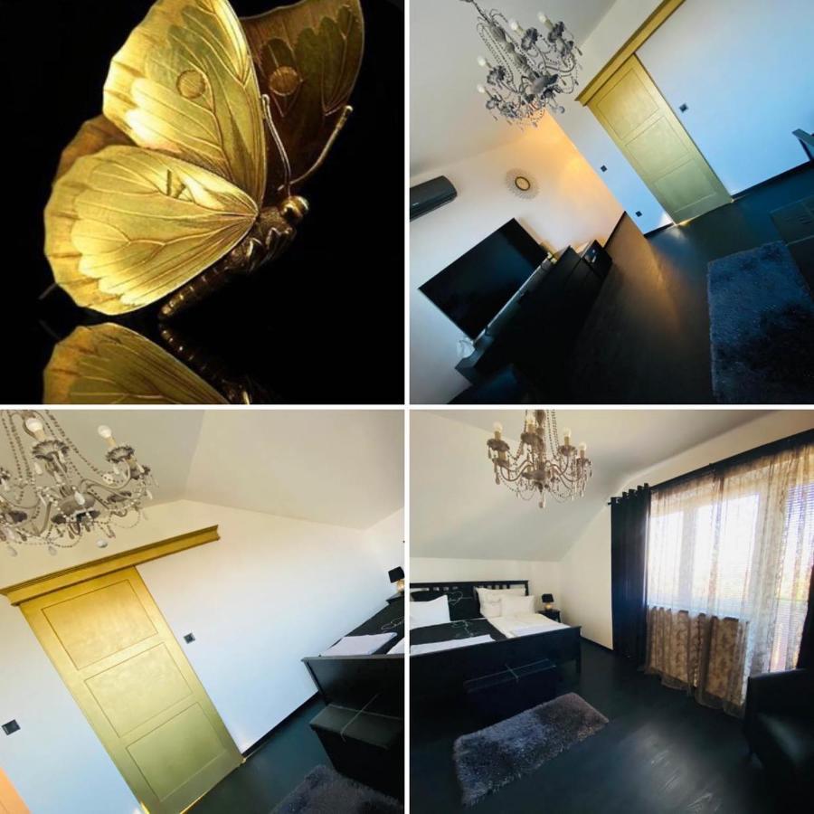 Gasthof Gold Horse Vendeghaz