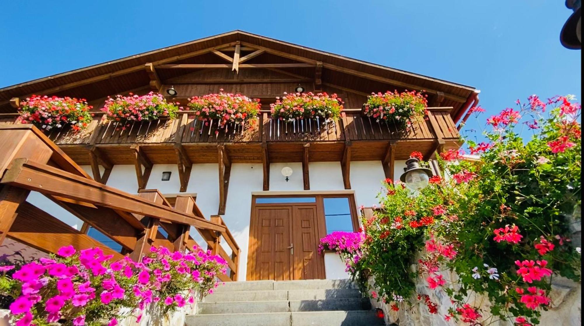 Gold Horse Vendeghaz Gasthof