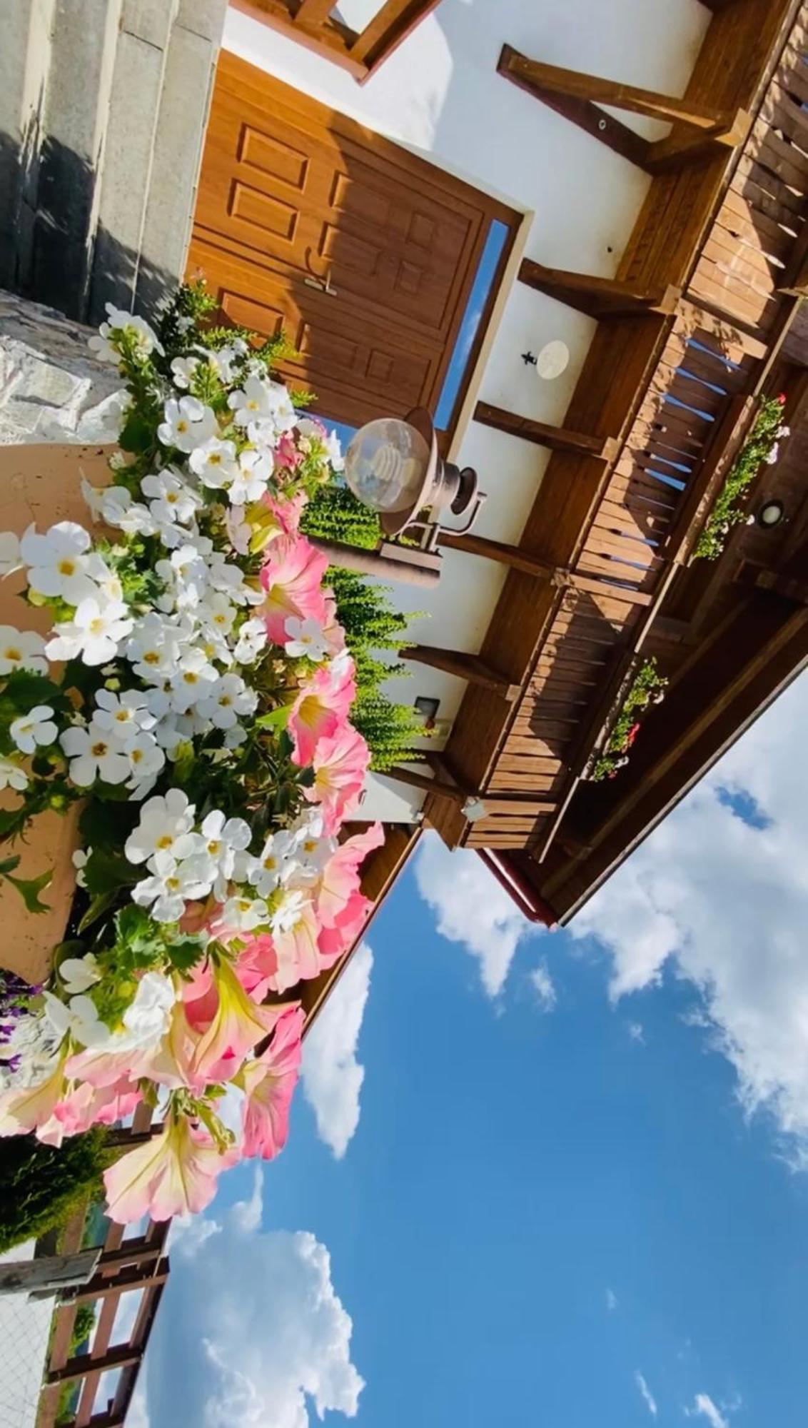 Gasthof Gold Horse Vendeghaz